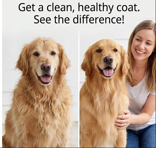 A cleaner home & healthier coat